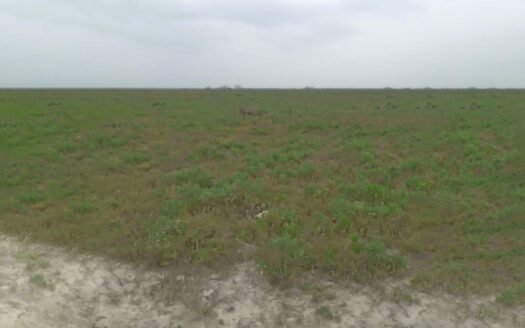 María Dolores #100, Fraccionamiento Recreativo San Carlos