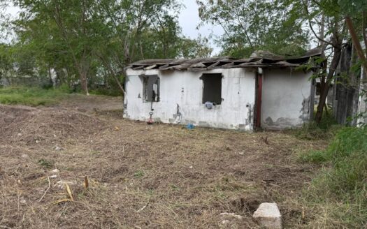 Puerto del Ángel, Colonia Cedrito